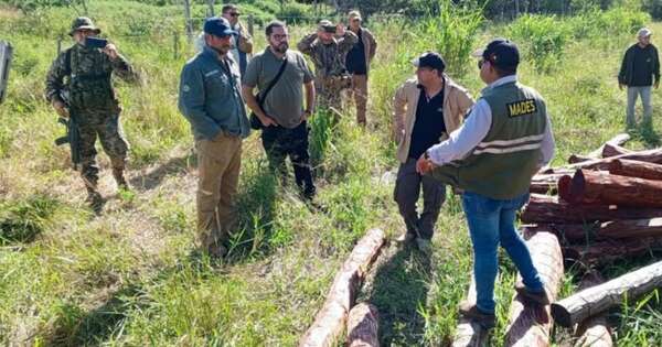 La Nación / Puerto Pinasco: allanan empresa por tala ilegal de quebracho y palo santo