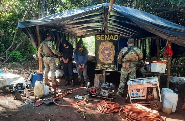 Caen dos colombianos en cultivo de un tipo de marihuana que puede costar más que la cocaína - Policiales - ABC Color