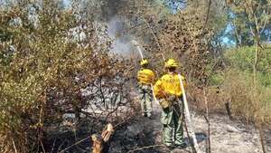 Bomberos combaten gran incendio en zona de humedales del lago Ypacaraí