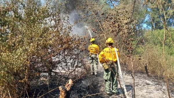 Bomberos combaten gran incendio en zona de humedales del lago Ypacaraí