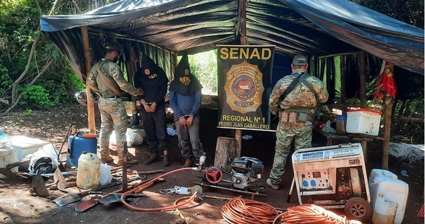 Dos colombianos caen en campamento de producción de marihuana «Skunk»