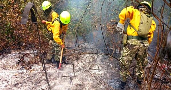 Diario HOY | Incontrolable incendio en zona de los humedales del lago Ypacaraí