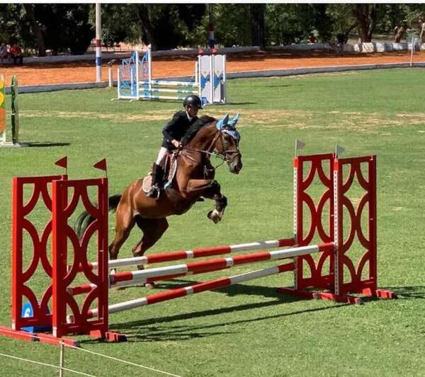 Hipismo: Festiva apertura - Polideportivo - ABC Color
