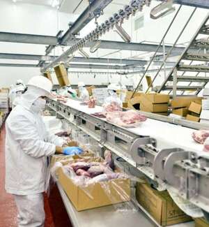 Mercado de la carne: demanda sigue “firme” y EE.UU. marca la “temperatura”, evalúa la ARP - Economía - ABC Color