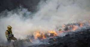 Diario HOY | Controlan el peor incendio forestal de Japón desde hace medio siglo