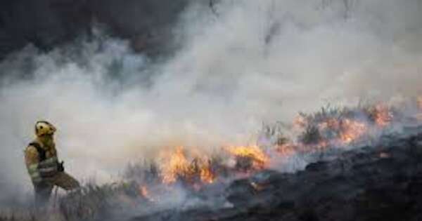 Diario HOY | Controlan el peor incendio forestal de Japón desde hace medio siglo