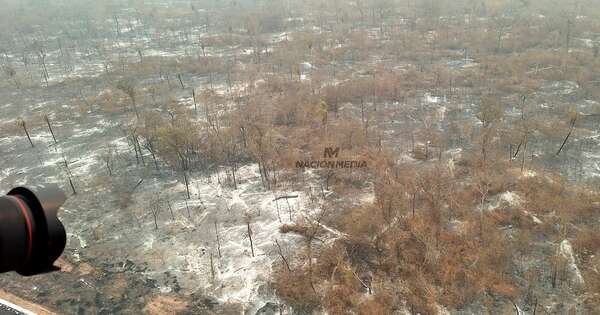 La Nación / Infona: disminuyeron los incendios forestales, principalmente en el Chaco