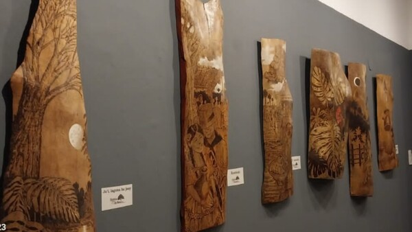 Tala indiscriminada de árboles inspira obras de arte