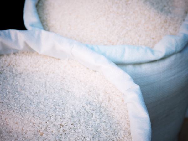 Cosecha de arroz en Paraguay bajo presión