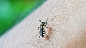¿Cuáles son los serotipos de dengue en Paraguay en los últimos 37 años?