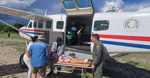 La Nación / Trasladaron en avión desde Bahía Negra a niña mordida por una serpiente cascabel