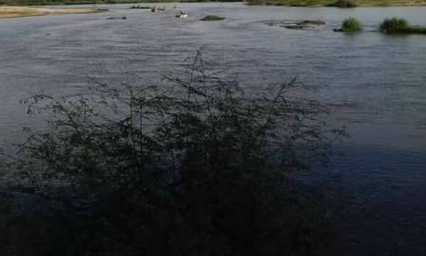 ¡Macabro hallazgo! Encontraron flotando algunos restos de una mujer y detuvieron a un arriero