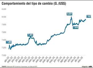 Evolución y factores que influyen en la dinámica del mercado cambiario - Economía - ABC Color