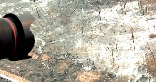 La Nación / Disminuyen en 2025 incendios forestales