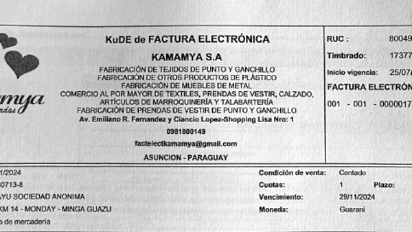 Itaipú: Firma china habría presentado llamativas facturas para experiencia