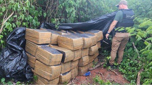SENAD allanó depósito narco e incautó casi 2 toneladas de Marihuana en San Pedro