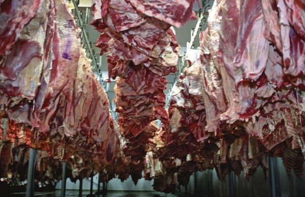 Se redujó levemente precio de la carne en febrero, según la FAO