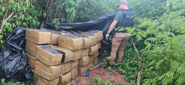 Incautan más de 1.800 kilos de marihuana en San Pedro, valorados en USD 300.000 - El Trueno