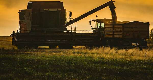 Apuesta por sector agrícola se robustece con demanda de maquinarias