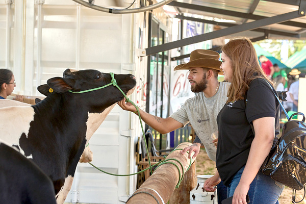 Nanotecnología y fotogrametría para la agricultura y avances en producción animal - La Clave