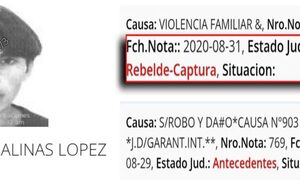 Criminal causa terror en zona rural de Mallorquín y es protegido por policías
