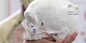 Las partes del cerebro y sus funciones - SNT