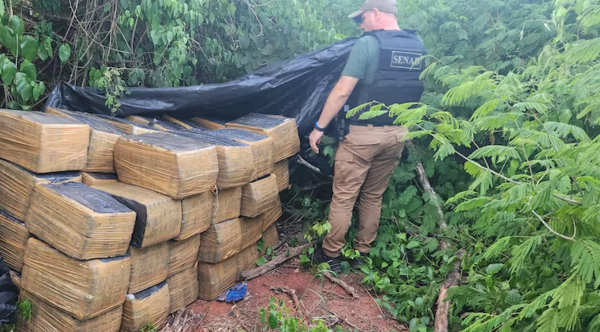 Incautan casi dos toneladas de marihuana dentro de un depósito narco - trece