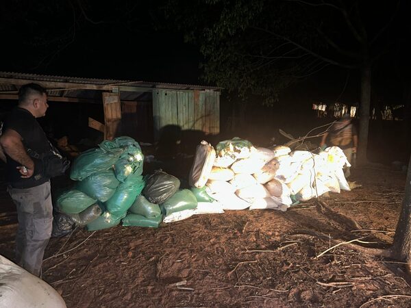 Senad incautó casi 2 toneladas de marihuana en San Pedro - Unicanal