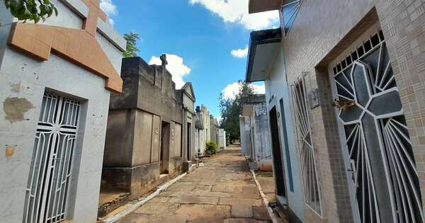 La Nación / Denuncian abandono y robo de tumbas en el cementerio de la Recoleta