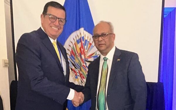 La AEL seguirá defendiendo en la OEA la vida, desde su concepción, y la familia