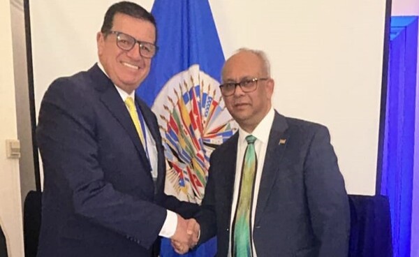 La AEL seguirá defendiendo en la OEA la vida, desde su concepción, y la familia