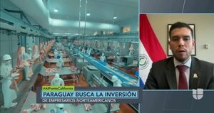 Rediex pretende convertirse en una plataforma confiable para la llegada de inversionistas