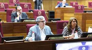Senadores pedirán más datos sobre expedición presumiblemente irregular de visas a cargo de Baiardi  - Política - ABC Color