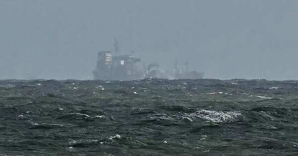 La Nación / Preocupa impacto ambiental de colisión de un petrolero y un carguero en mar del Norte