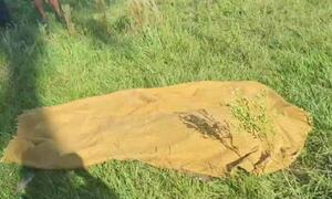 Carapeguá: Hombre de 74 años quemó hojas en su chacra, fuego se descontroló y terminó asfixiado – Prensa 5