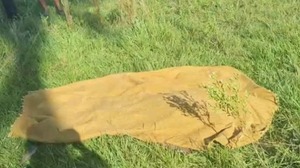 Abuelito quemó basura y murió asfixiado