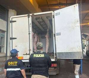 Encarnación: Incautan más de una tonelada de carne vacuna de origen dudoso - Policiales - ABC Color