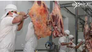 Aranceles de EE. UU. beneficiarían a Paraguay: 121 productos podrían ser exportados - Unicanal