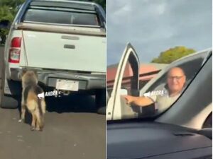 (VIDEO). Filman a un arriero infeliz que lleva atado a un perro por su camioneta