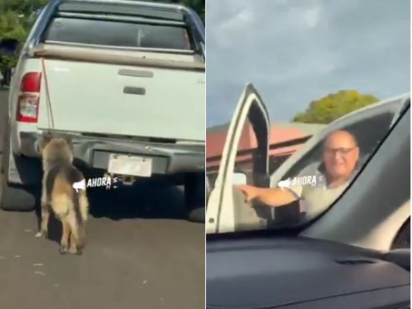 (VIDEO). Filman a un arriero infeliz que lleva atado a un perro por su camioneta