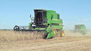 Estiman una menor producción de soja en la zafra 2024/2025