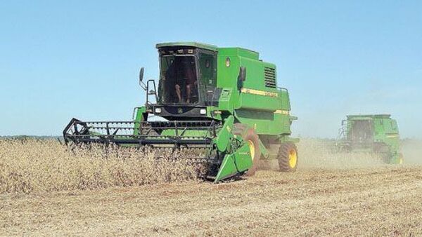 Estiman una menor producción de soja en la zafra 2024/2025