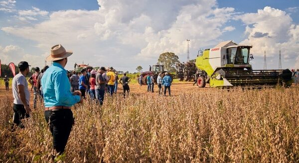 Proyecciones del MEF: un 2025 “difícil” por sequía que golpea la producción agropecuaria