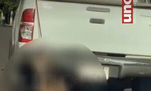 Itapúa: un perro fue arrastrado por una camioneta en Cambyretá