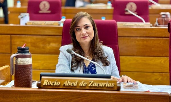 Rocío Abed celebra logros del gobierno y pide a opositores dejar de lado los resentimientos – Diario TNPRESS