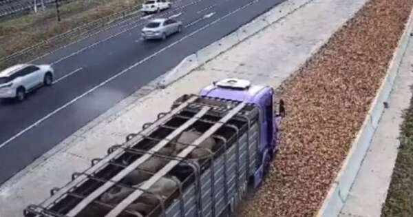 Diario HOY | Camión ingresa a rampa de frenado por falla mecánica sin causar accidentes