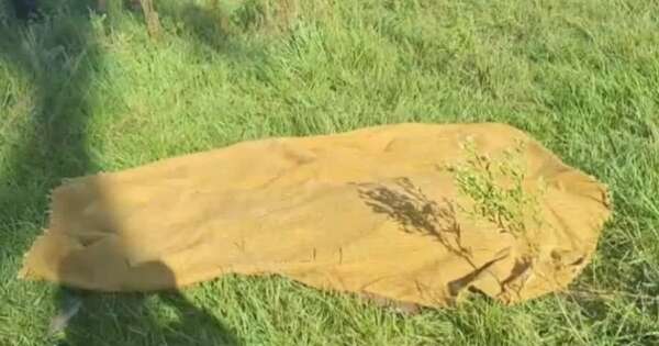 Diario HOY | Abuelo de 74 años muere asfixiado al quemar ramas en su chacra