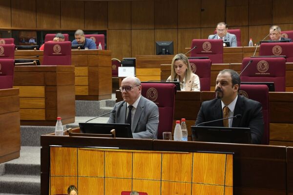El doctor Diesel participó de sesión de la Comisión de Asuntos Constitucionales del Senado