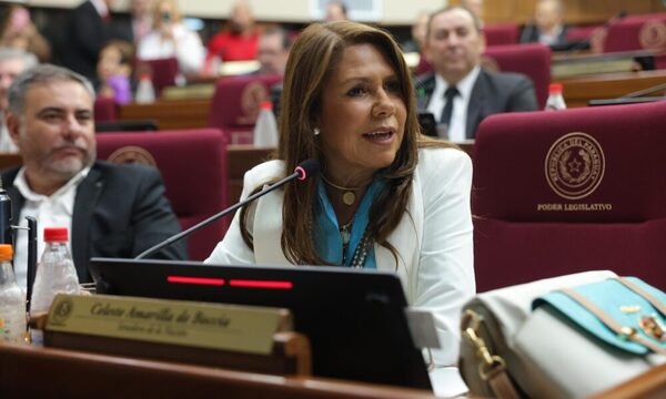 Honor Colorado evaluarár sancionar a Celeste Amarilla