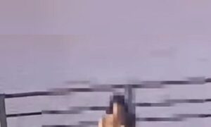 (VIDEO) En plena costanera de Encarnación parejita le bajó al “ya tu sabes”